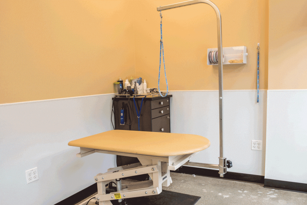 Pet Store | Grooming Area